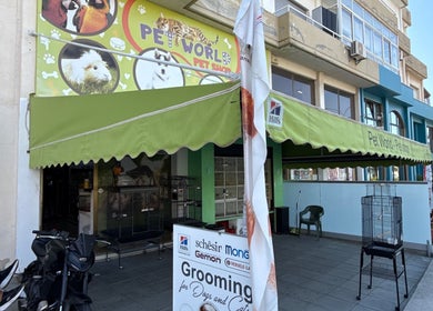 Вход в Dog grooming в Germasogeia, Lemesos, CY с зелёным навесом и вывеской о груминге.