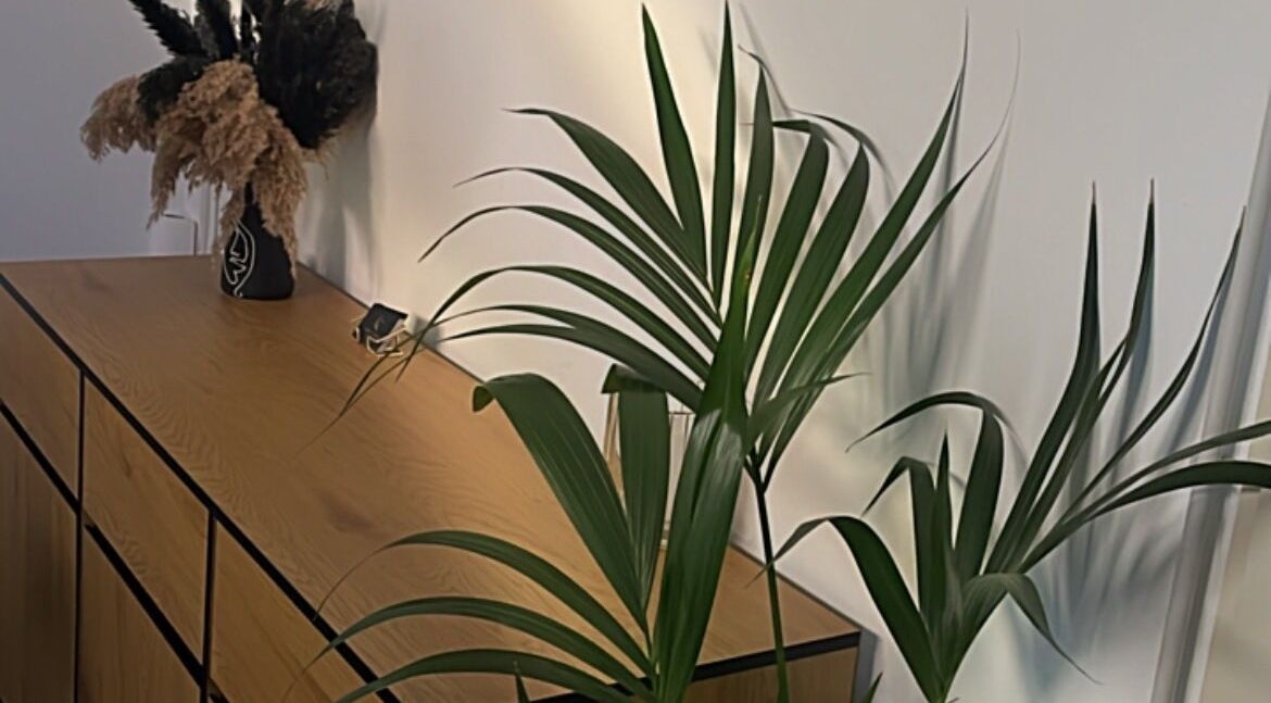 Decorazione naturale presso Lary Beauty, Pescantina, Veneto, IT con piante e fiori secchi.