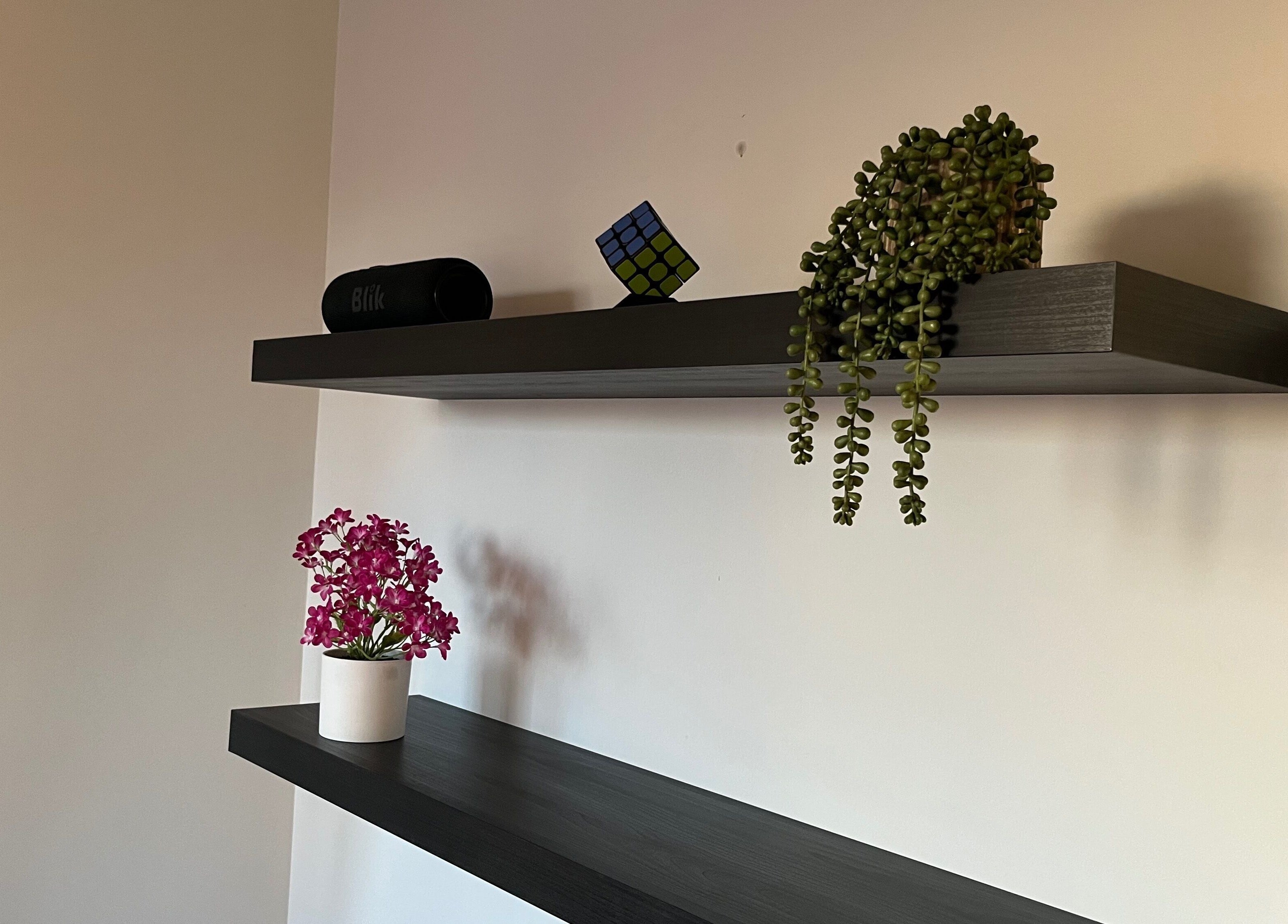 Estantes decorativos en VIBRA STUDIO, Concepción, Bío Bío, CL, con plantas y adornos coloridos.