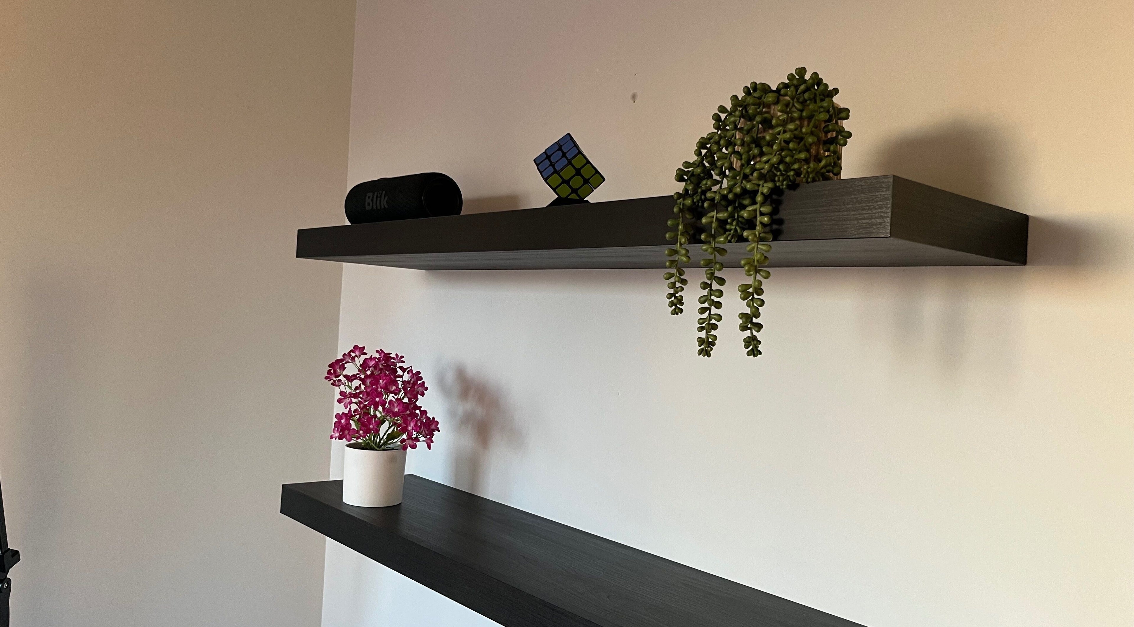 Estantes decorativos en VIBRA STUDIO, Concepción, Bío Bío, CL, con plantas y adornos coloridos.