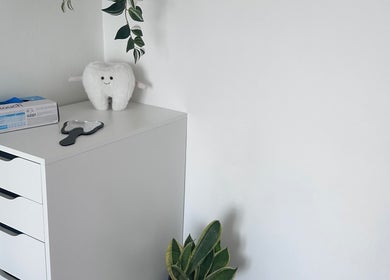 Stylish dental-themed decor at Pearl Bright in Reigate, England, GB with plush tooth and plant.