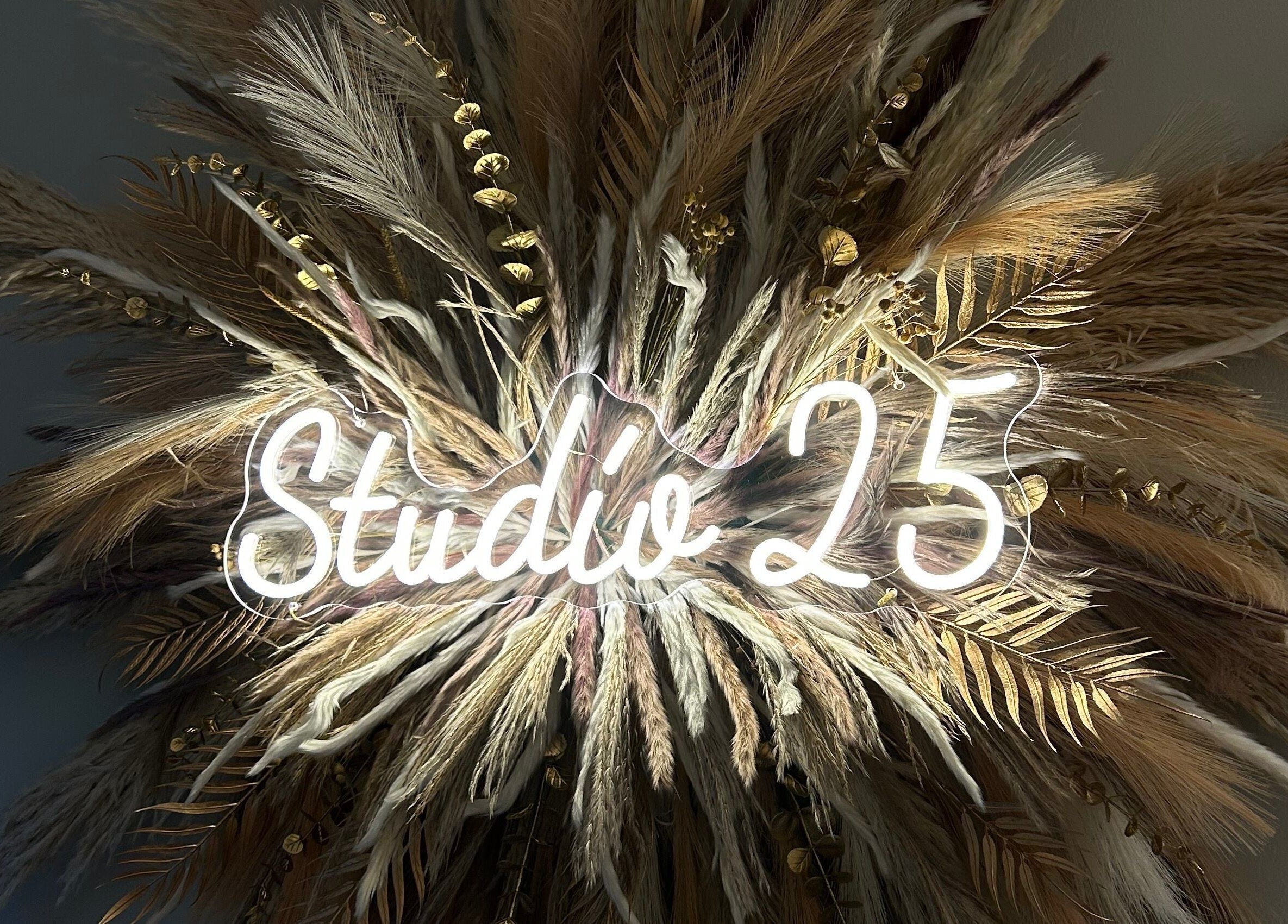 Studio 25 by Sadhbh glowing sign surrounded by pampas in Banagher, County Offaly, IE.