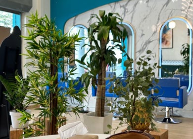 Mimpi Headspa & Salon interior with lush plants and blue salon chairs in Kuala Lumpur, Wilayah Persekutuan Kuala Lumpur, MY.