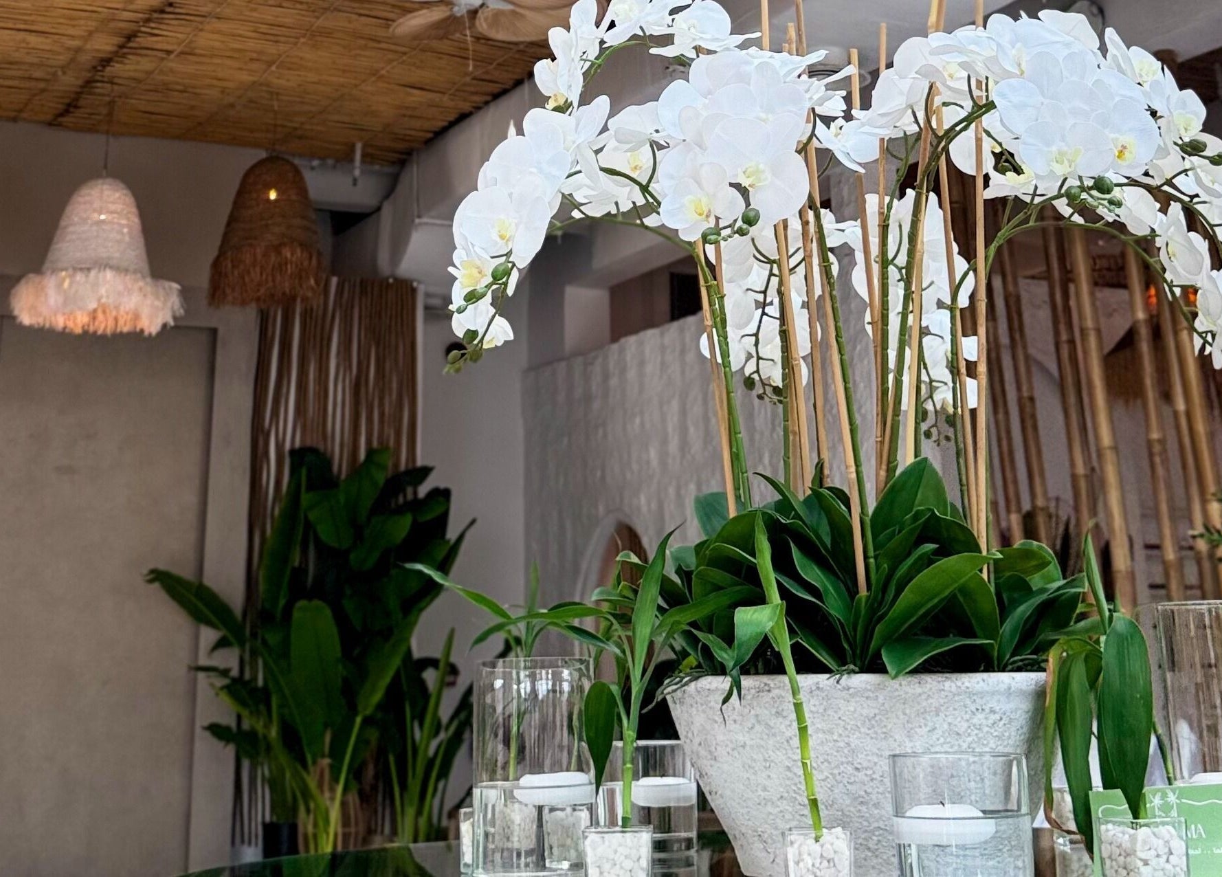 Elegant orchids enhance the serene atmosphere at De Palma Nail Spa, Makkah, Makkah Province, SA.