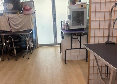 Petronize grooming area featuring tables and equipment in Singapore, Singapore, SG. Modern salon ambiance.