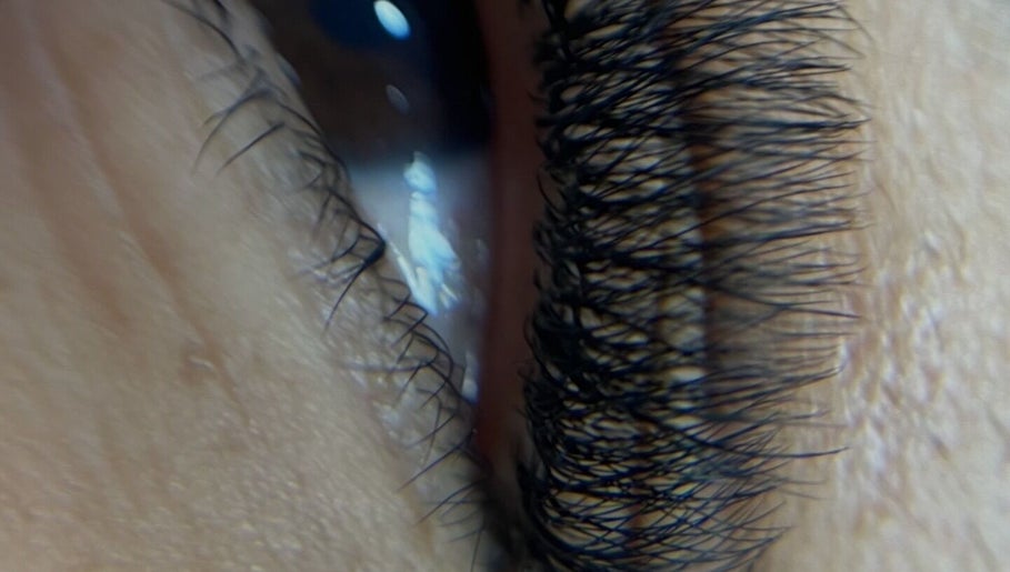 Primer plano de pestañas en Bloom Studio, Rosario, Santa Fe, AR, destacando cuidado y belleza ocular.