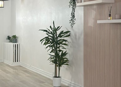Tranquil interior view with plants and modern decor at Elavine Nail Studio, Toronto, Ontario, CA.