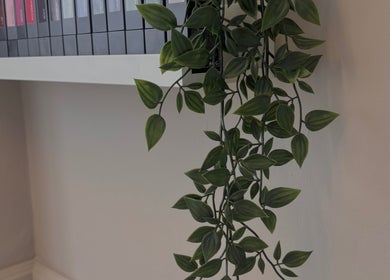 Elegant plant decor on a shelf at Sculpted Studio, Cwmtillery, Wales, GB, enhancing a peaceful wellness ambiance.