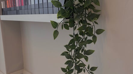 Elegant plant decor on a shelf at Sculpted Studio, Cwmtillery, Wales, GB, enhancing a peaceful wellness ambiance.