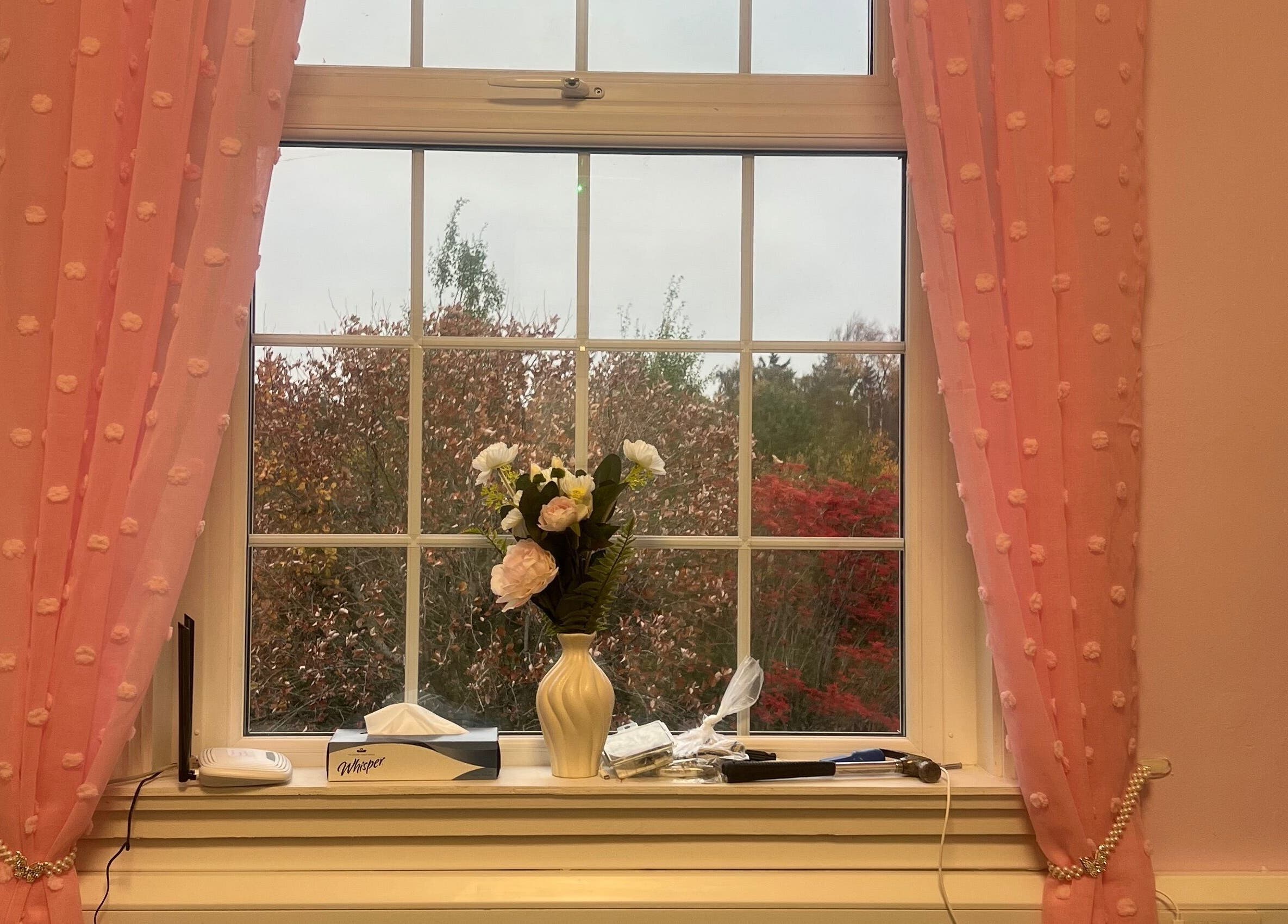Elegant window with pink curtains and flowers at Luna Glow, Edinburgh, Scotland, GB.