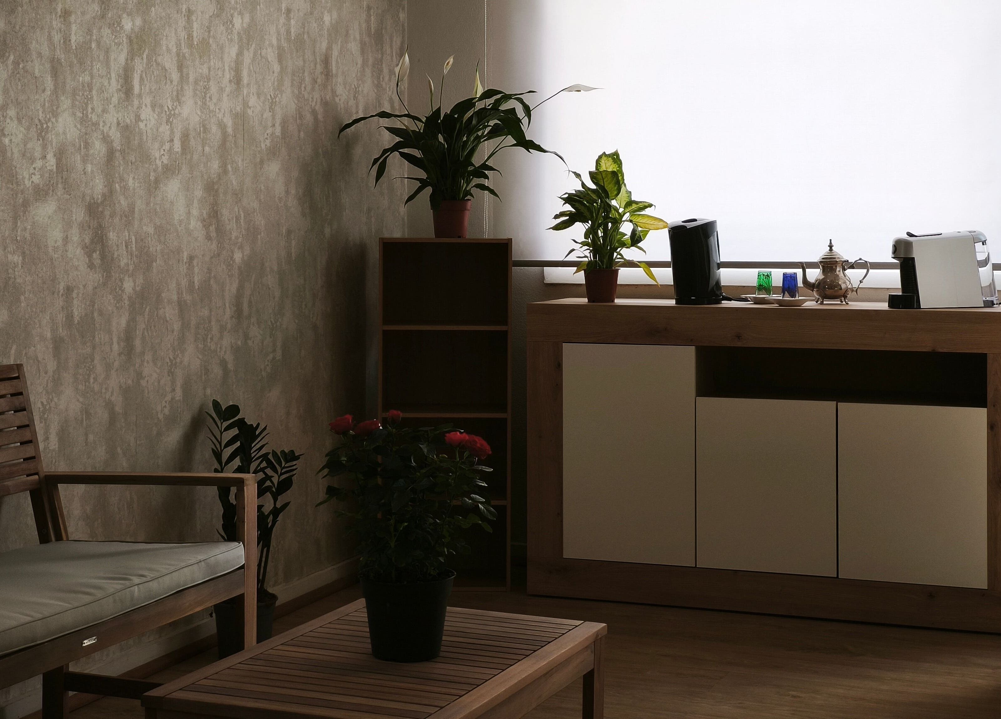 Sala de espera elegante em Mudrãh, Oliveira De Azeméis, Aveiro, PT, com plantas e mobiliário moderno.