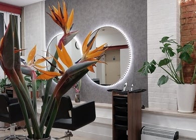 Interior do KS Redondo em Lisboa com espelhos iluminados e decoração tropical moderna.