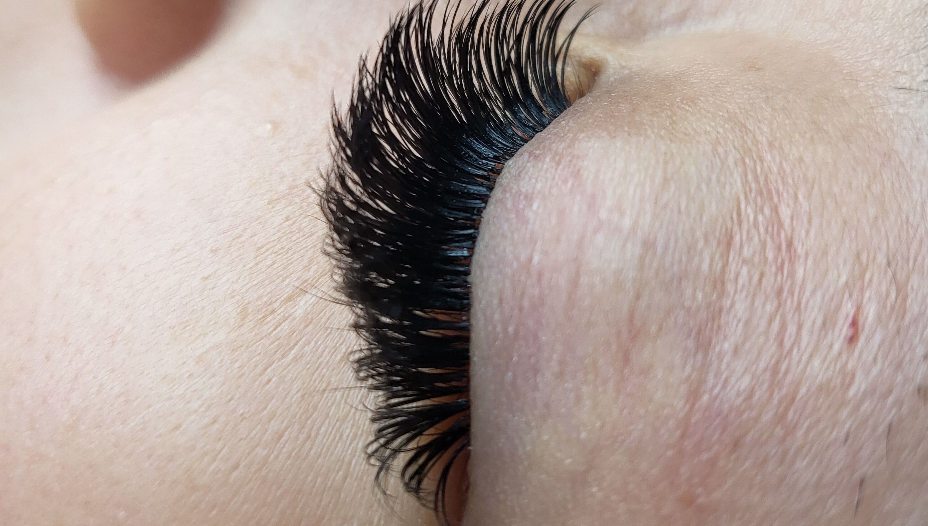 Close-up of elegant eyelash extensions at lusciouslashesmelbourne, Melbourne, Victoria, AU.