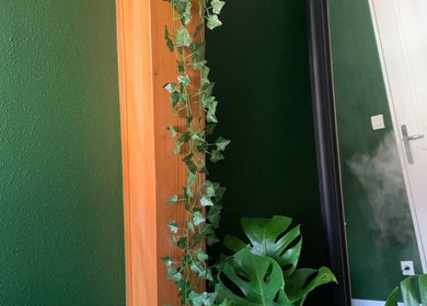 Plantes suspendues et miroir chez Fanmcil, Rixheim, Grand Est, FR.