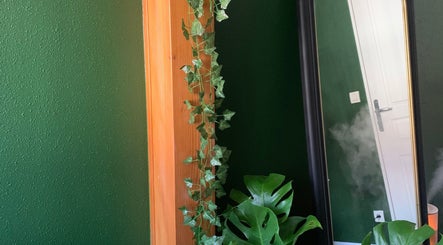 Plantes suspendues et miroir chez Fanmcil, Rixheim, Grand Est, FR.