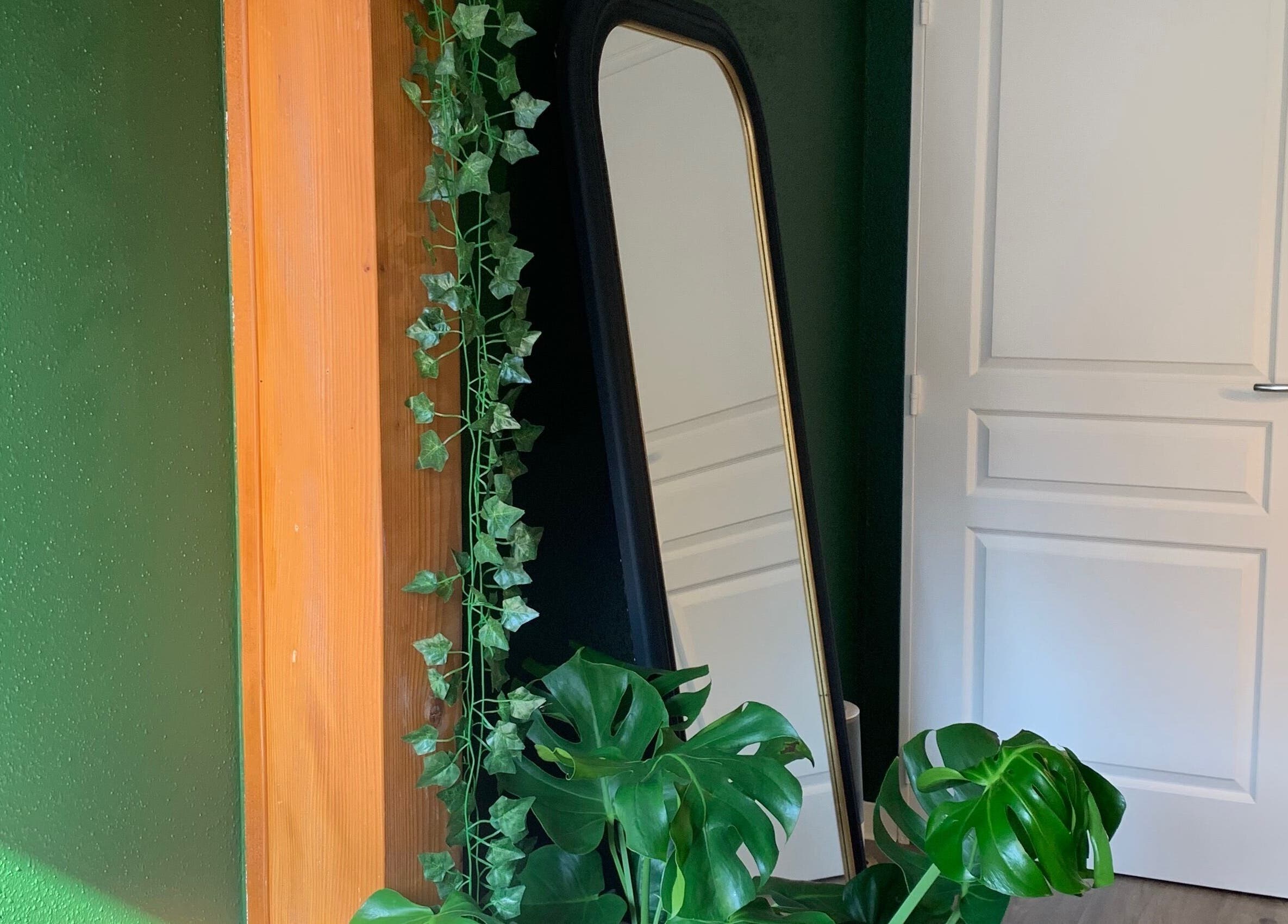 Plantes vertes et miroir élégant chez Fanmcil, Rixheim, Grand Est, FR.