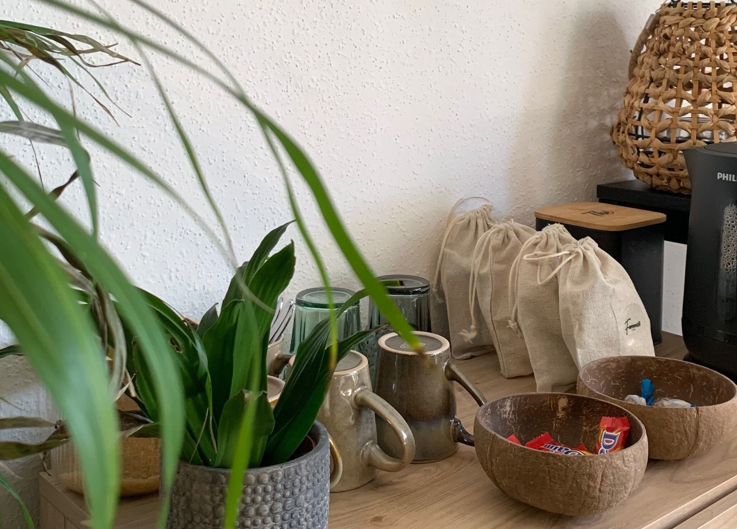 Coin détente avec plantes et tasses chez Fanmcil à Rixheim, Grand Est, FR.