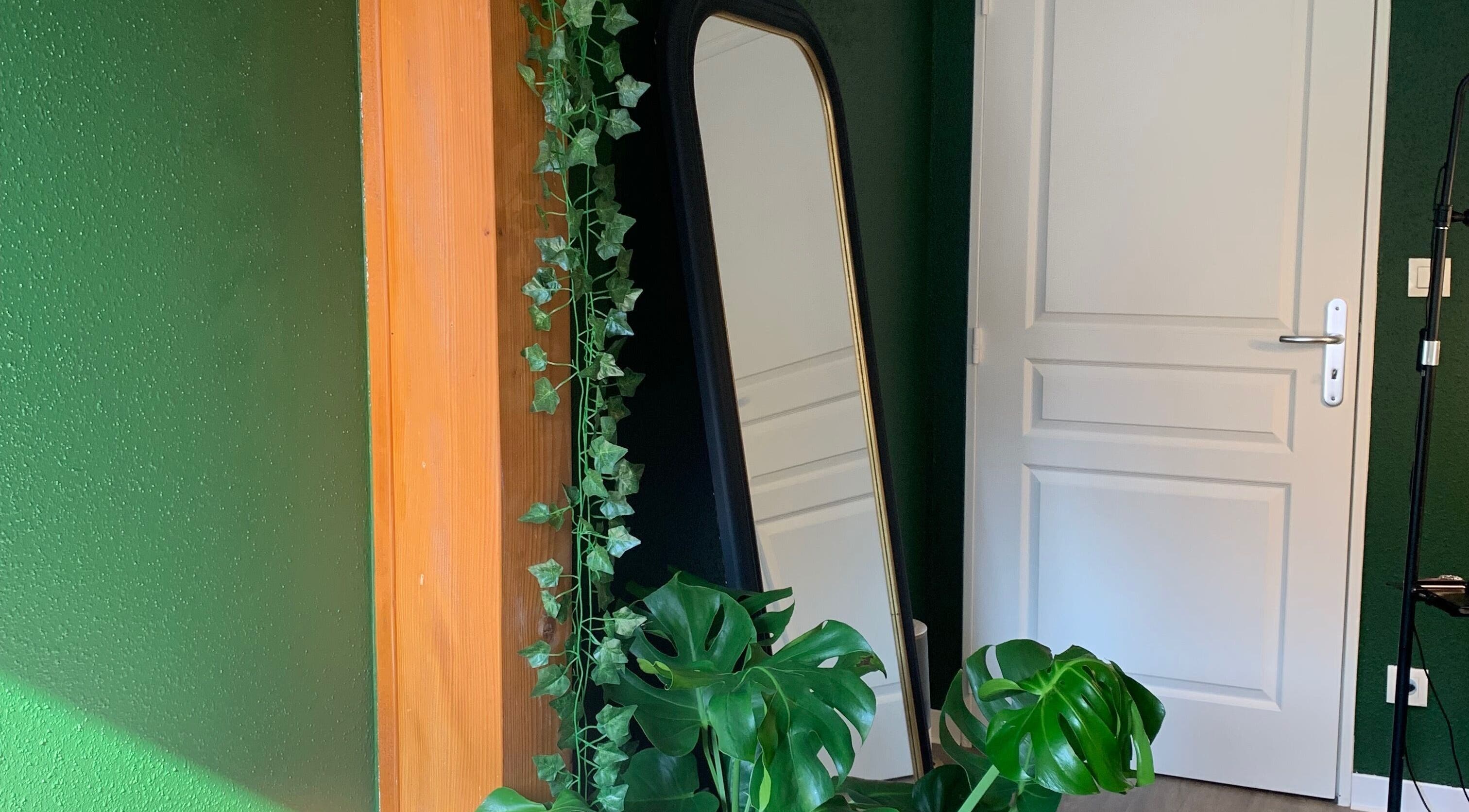 Miroir et plantes vertes au Fanmcil à Rixheim, Grand Est, FR, créant une ambiance naturelle.