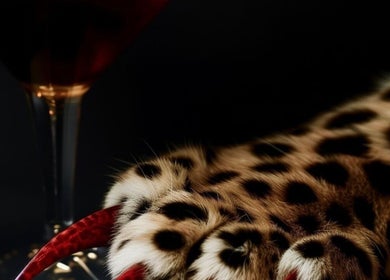 Elegant leopard print with sleek nails at K.K Beauty Studio, London, England, GB.