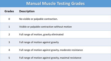 Manual muscle testing grades chart at Sara Salon, Tel Aviv-yafo, Tel Aviv District, IL.