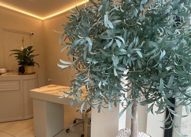 Elegant interior of Haus of Nails in Birmingham, England, GB, featuring stylish decor and lush greenery.