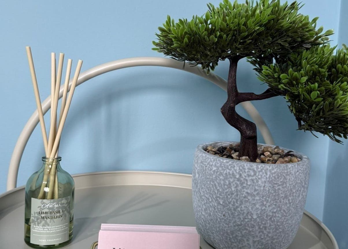 Peaceful decor at Key Aesthetics in Swindon, England, GB featuring a bonsai and diffuser on a table.