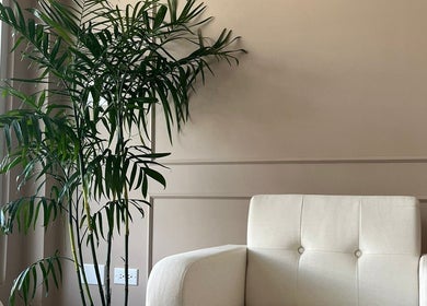 Relaxing lounge with white armchair and plant at Detox Spa, Georgetown, KY.