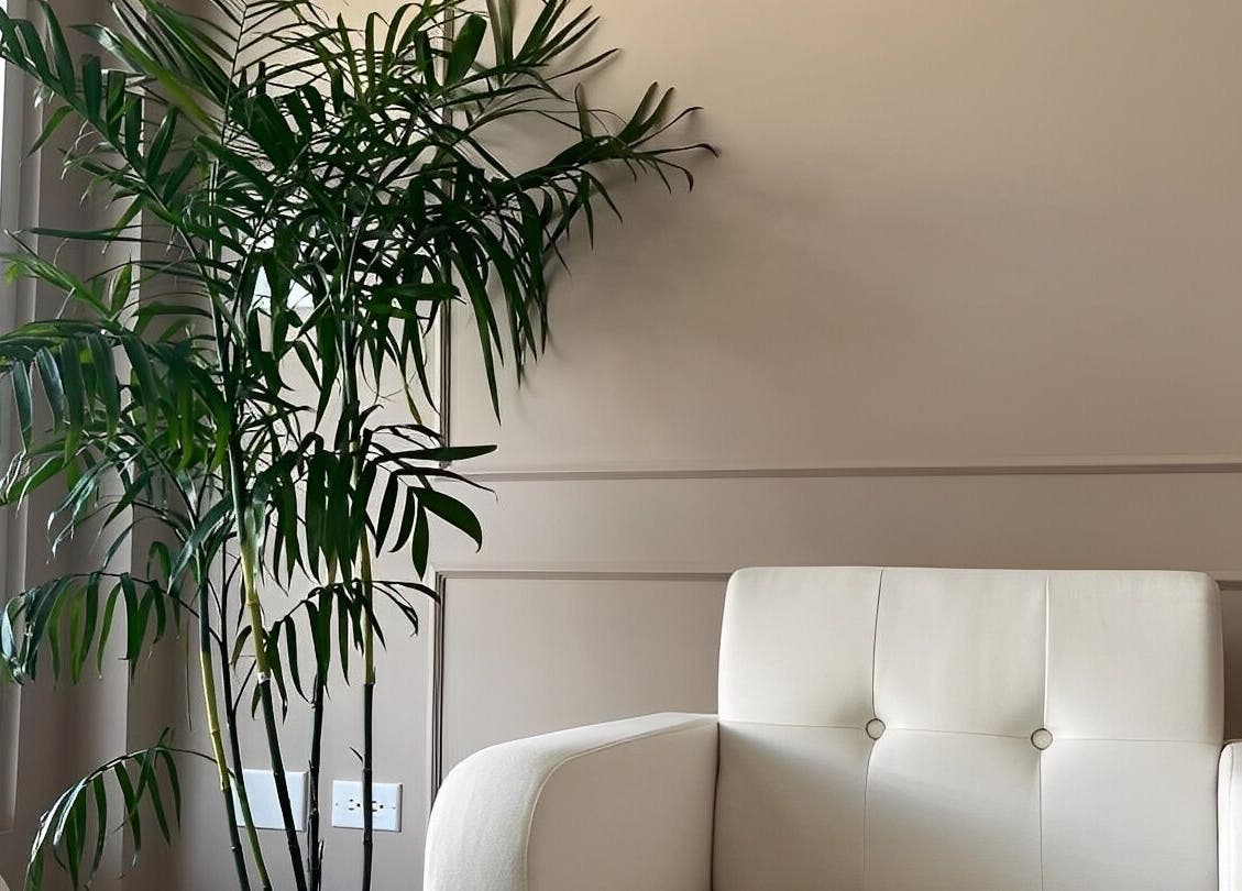 Relaxing seating with greenery at Detox Spa in Georgetown, KY, offering a tranquil escape.