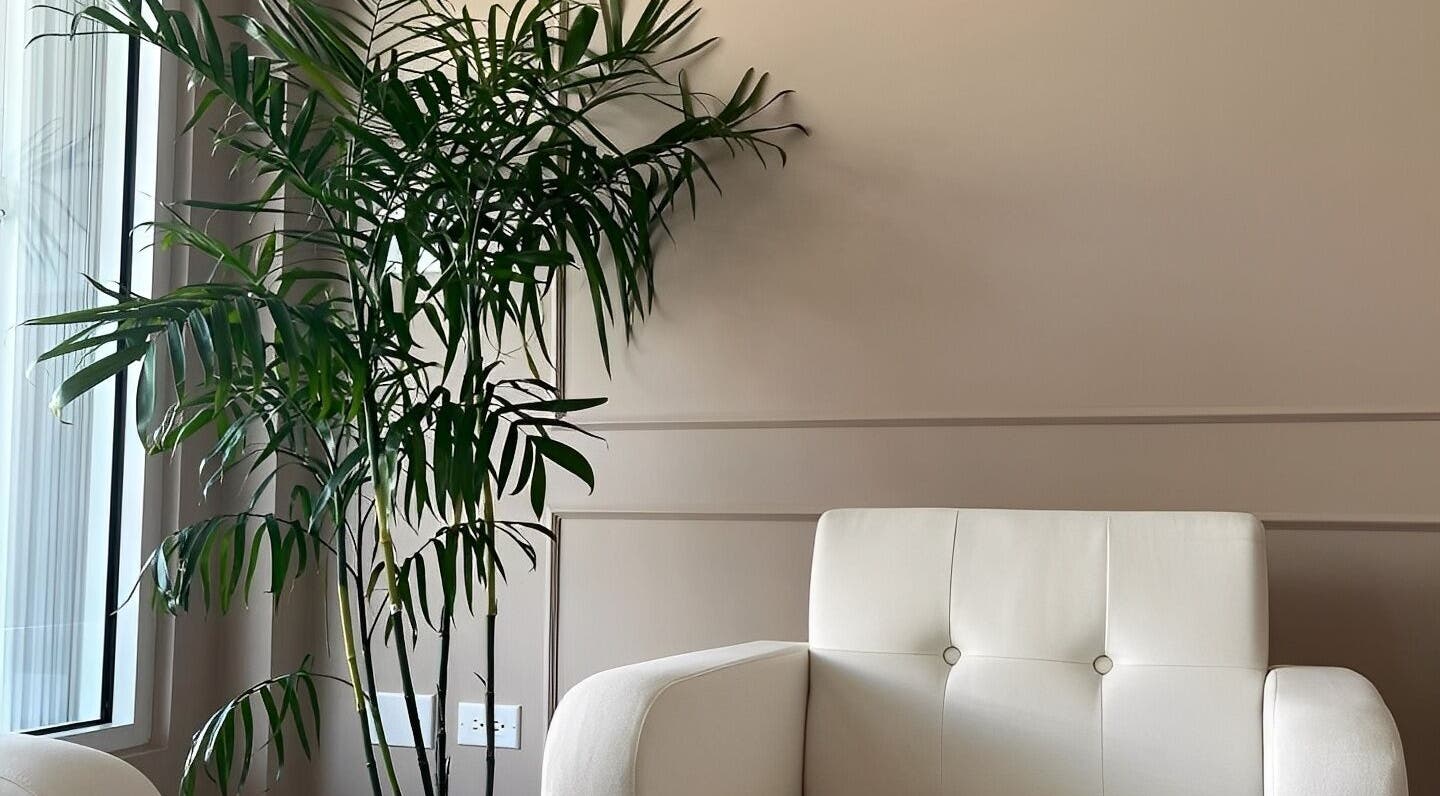 Relaxing seating with greenery at Detox Spa in Georgetown, KY, offering a tranquil escape.