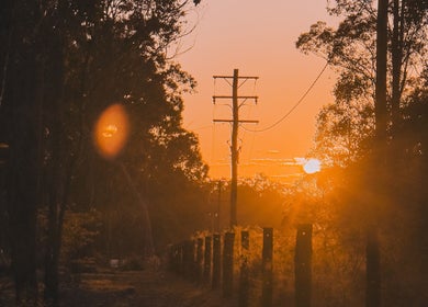Serene sunset near Nomad Nail Studio, Maryborough, Queensland, AU, with trees and power lines in silhouette.