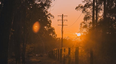 Serene sunset near Nomad Nail Studio, Maryborough, Queensland, AU, with trees and power lines in silhouette.