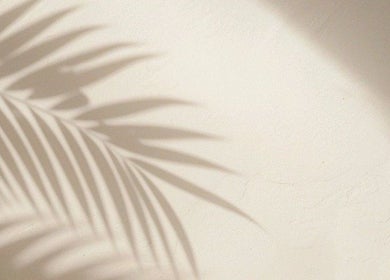 Sombras de folhas na parede, criando uma atmosfera relaxante na JL CLINIC PORTO, Matosinhos, Porto, PT.