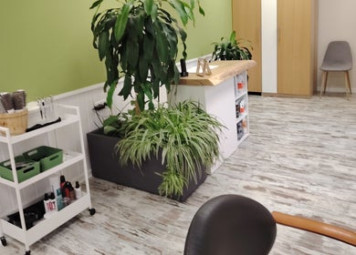 Intérieur de Coiffure nature à Saint-Médard-en-Forez, Auvergne-Rhône-Alpes, avec plantes et mobilier moderne.