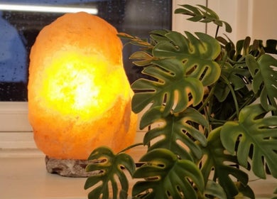 Warm salt lamp and lush plant at Revive Sports Therapy And Massage, York, England, GB.