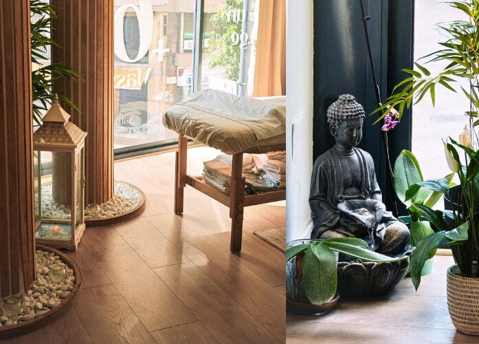Interior de Nature Girona · Masajes a la carta en Girona, Catalunya, ES con decoración zen y plantas.
