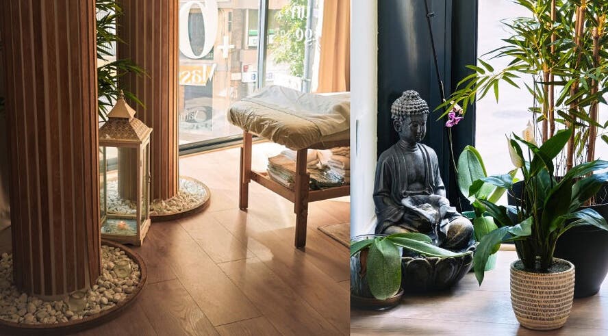 Interior de Nature Girona · Masajes a la carta en Girona, Catalunya, ES con decoración zen y plantas.