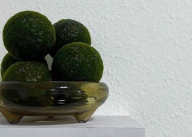 Elegant green moss spheres in a bowl at Leia Beth Lash & Brow Technician, Dundee, Scotland, GB.