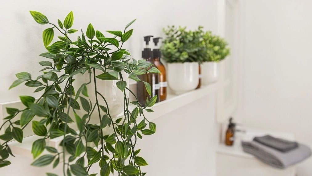 Lush greenery and wellness products at beYOUtee by Lisa-Marie, England, GB.