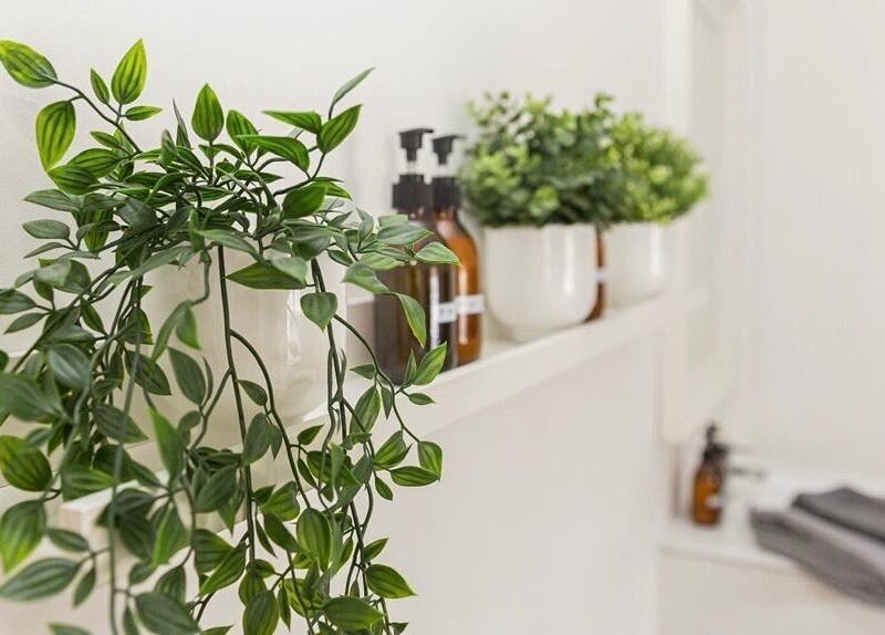 Lush greenery and wellness products at beYOUtee by Lisa-Marie, England, GB.