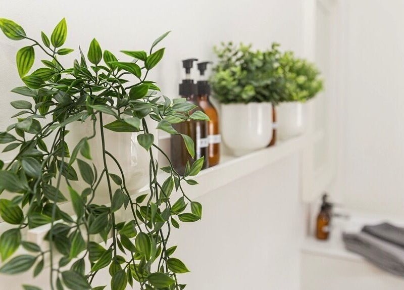 Lush greenery and wellness products at beYOUtee by Lisa-Marie, England, GB.