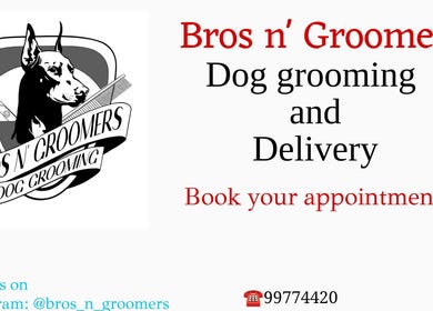 Bros N' Groomers logo with dog illustration promoting services in Lemesos, Lemesos, CY.