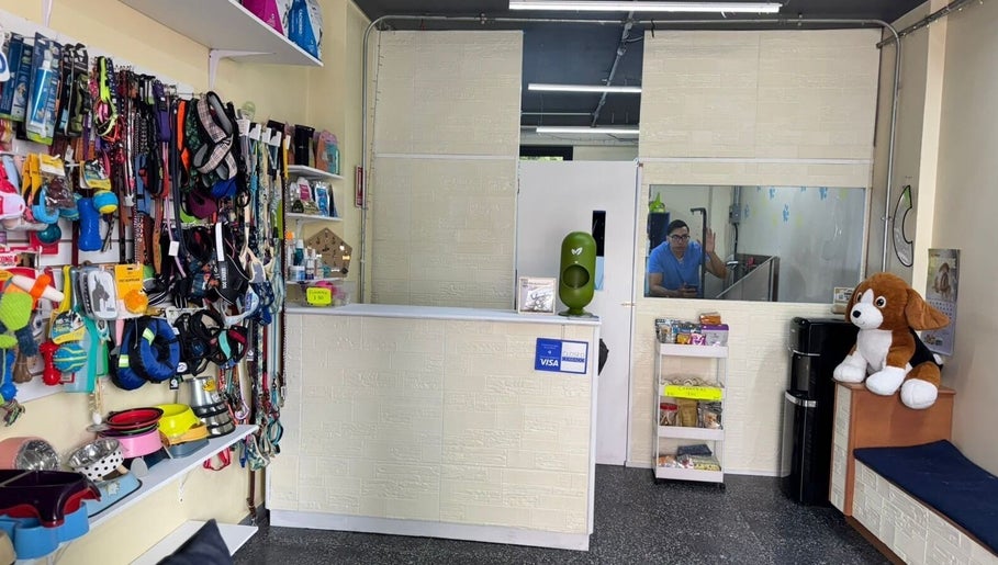 Interior de Mi Mundo Mágico Pet Care en Ciudad De México, Ciudad De México, MX, mostrando accesorios para mascotas.