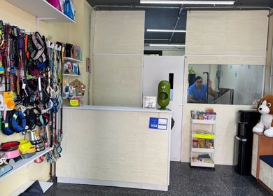 Interior de Mi Mundo Mágico Pet Care en Ciudad De México, Ciudad De México, MX, mostrando accesorios para mascotas.