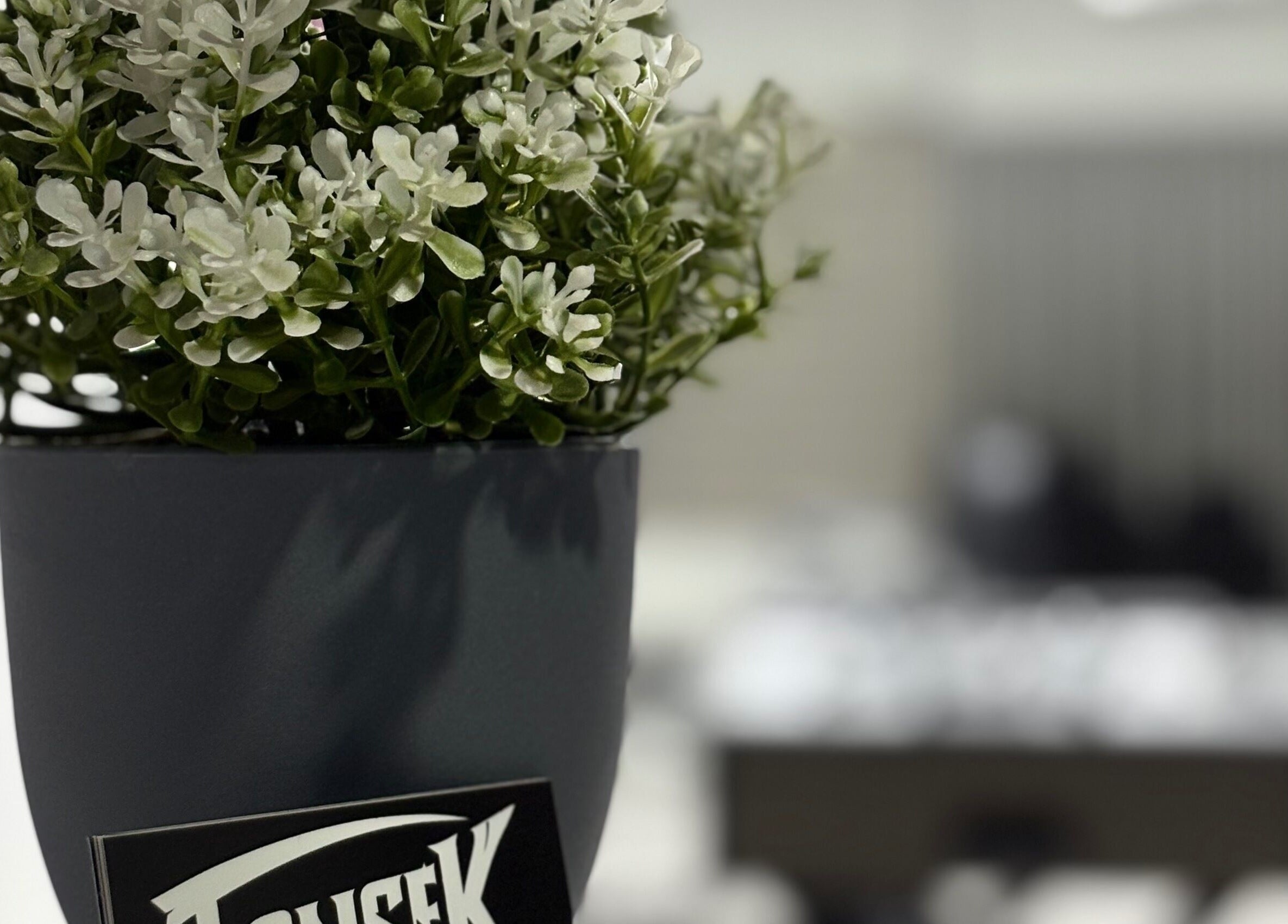 Decoración natural en Fonsek Barber, Tepic, Nayarit, MX, resaltando su ambiente acogedor y profesional.