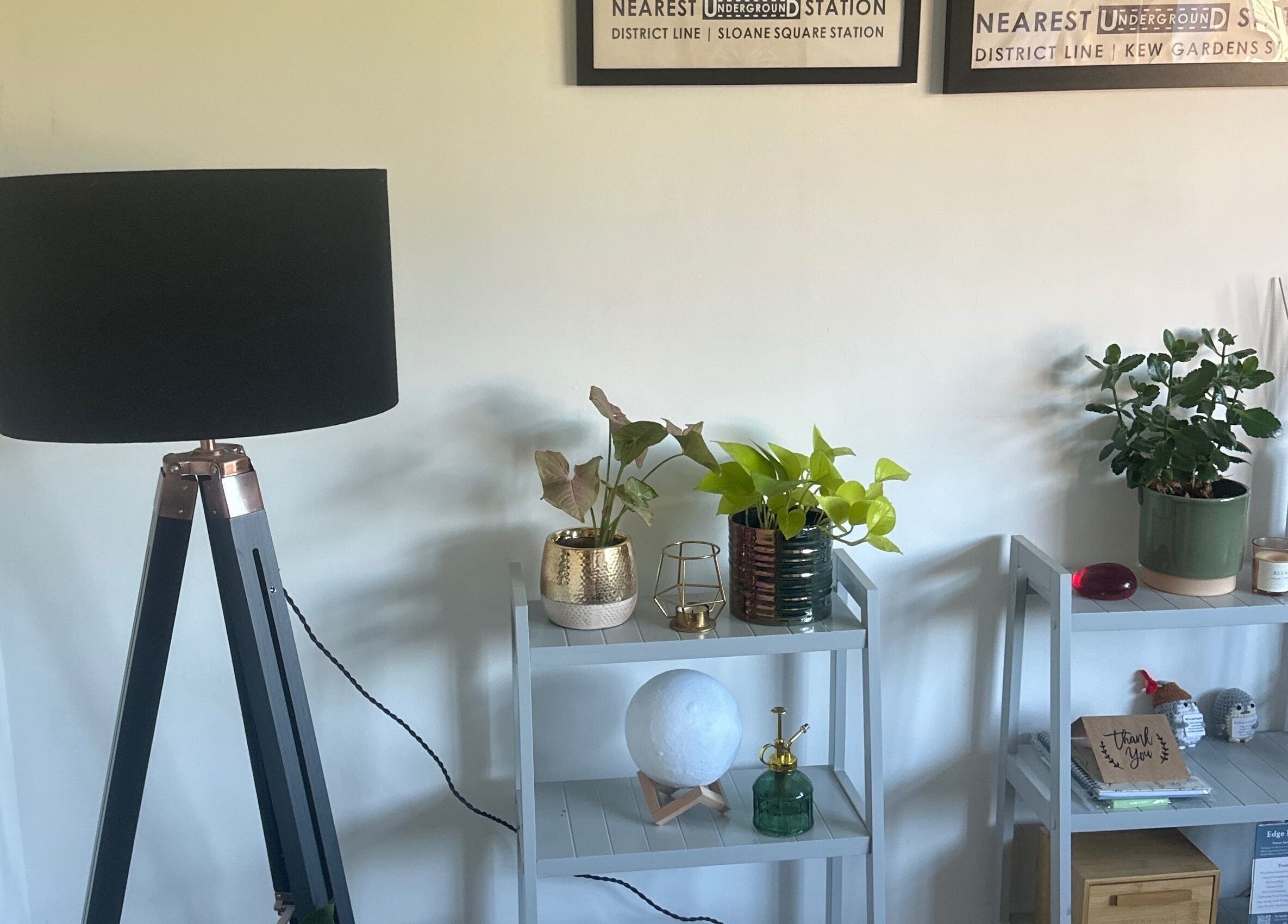Stylish decor and plants at Edge Nurse Aesthetics, East Harling, England, GB, creating a calming ambiance.