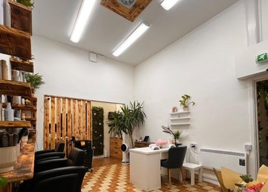Modern interior of Sanela haircraft in Drogheda, County Louth, IE featuring stylish decor and lush plants.