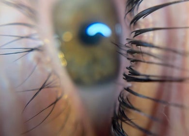 Close-up of eye with enhanced eyelashes at Youphoria Beauty Verwood, Verwood, England, GB.