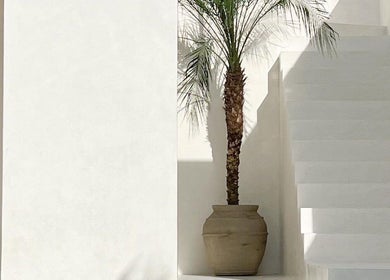 Minimalistisch decor bij LS Aesthetics, Willemstad, Curaçao, CW met witte trappen en palmboom.