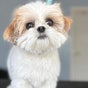 Fluffandtuff