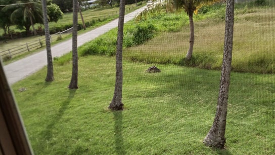 Le Bar à Beauté par Ke